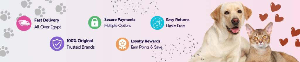 easy returns