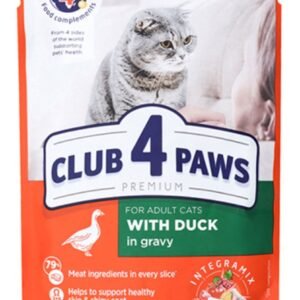 adult cat with duck in gravy