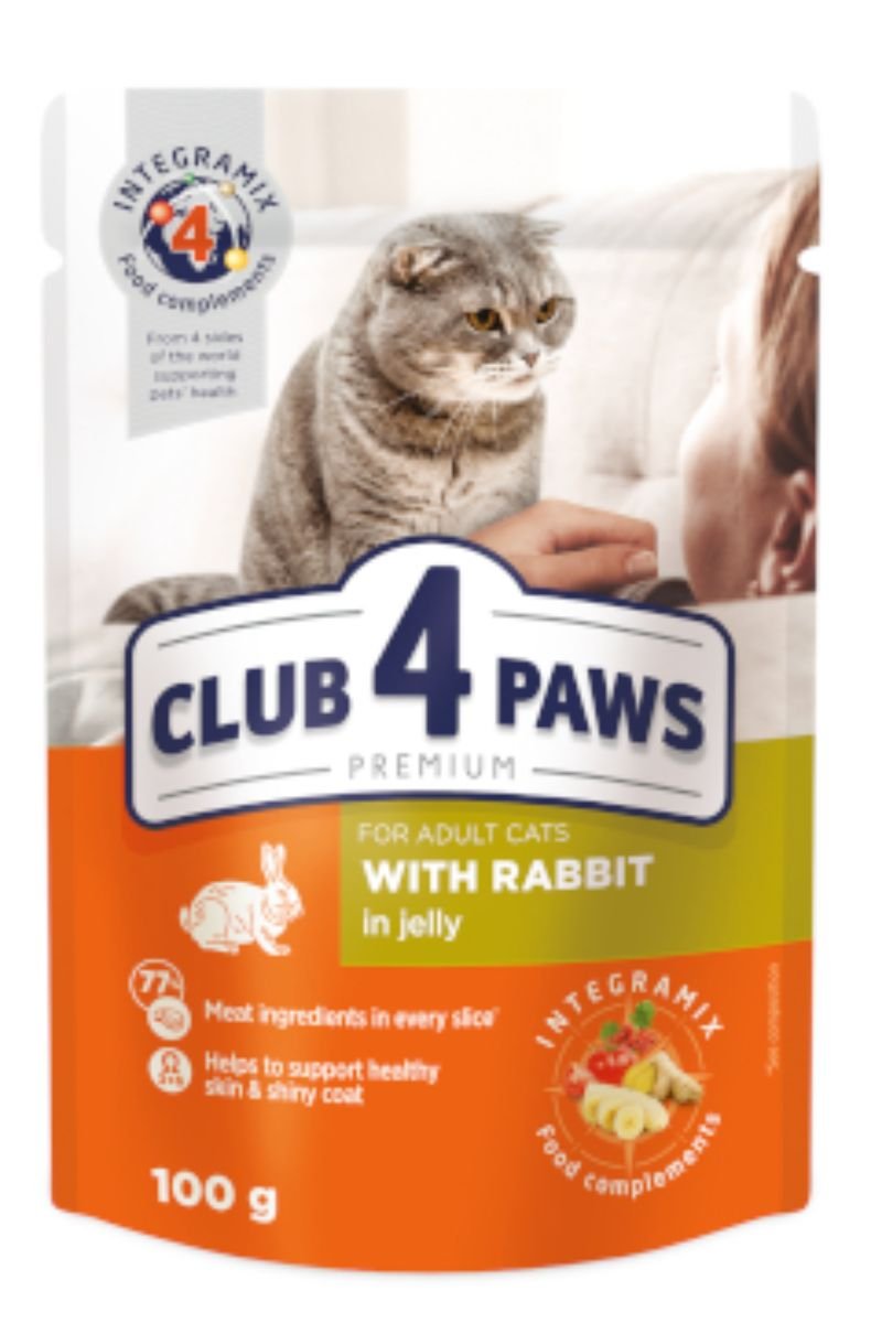 adult cat with rabbit in jelly adult cat with rabbit in jelly